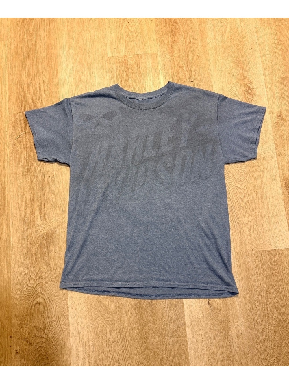 Harley Davidson Blue Skull Graphic Tee Grunge Skater T-Shirt Jesse Pinkman
